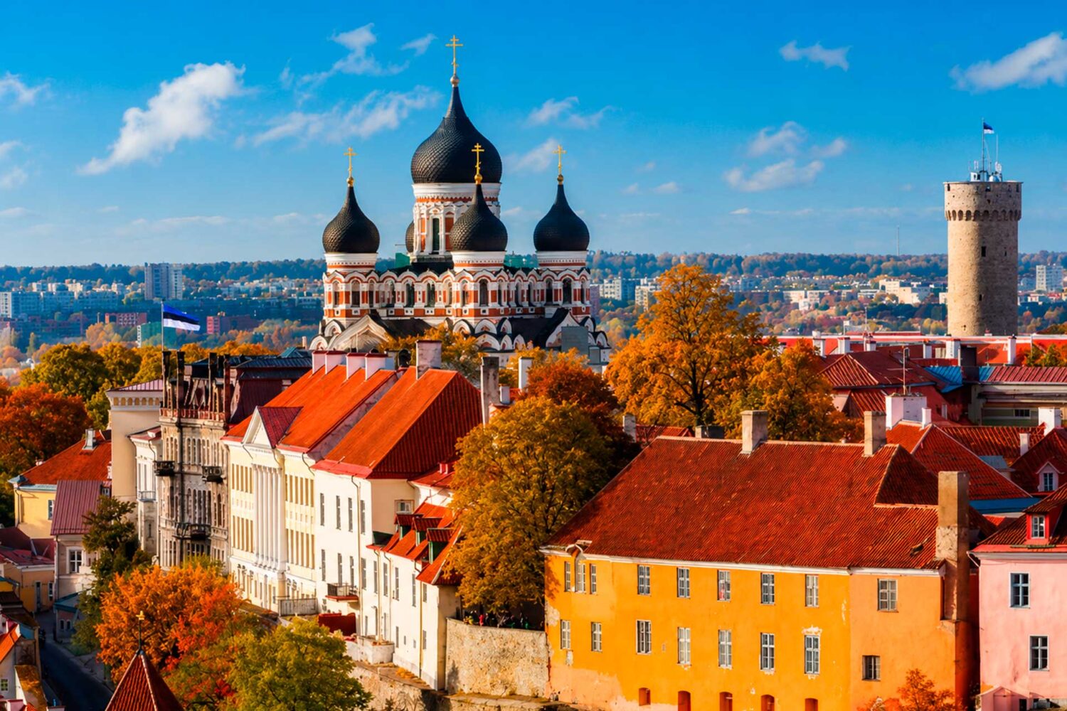 The rights attached to an Estonian permit